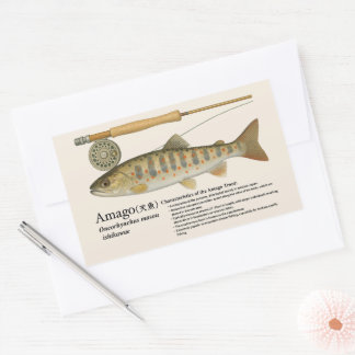 Sticker Rectangulaire Amago (Oncorhynchus masou ishikawae)