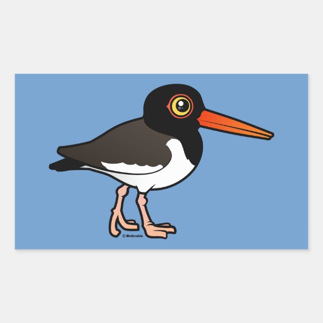 Sticker Rectangulaire American Oystercatcher (Devant)