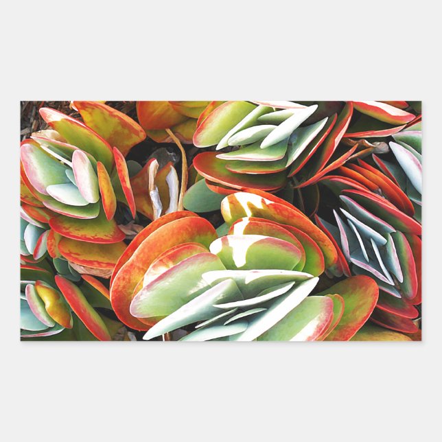 Sticker Rectangulaire Amour_ (Devant)