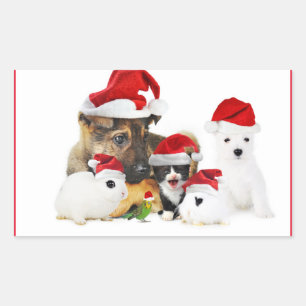 Sticker Rectangulaire Animaux