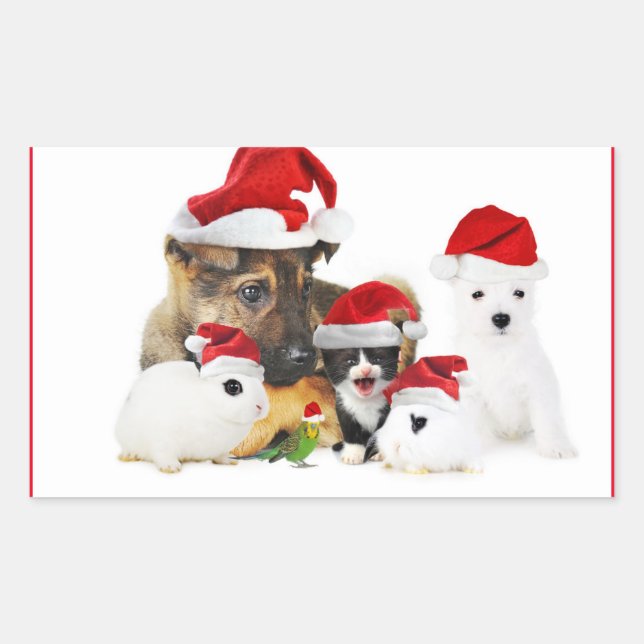 Sticker Rectangulaire Animaux (Devant)