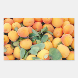 Sticker Rectangulaire Apricots