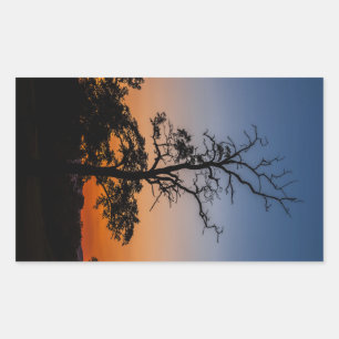 Sticker Rectangulaire Arbre sur un arrière - plan couché de soleil
