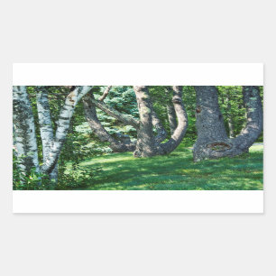 Sticker Rectangulaire Arbres à flanc de colline
