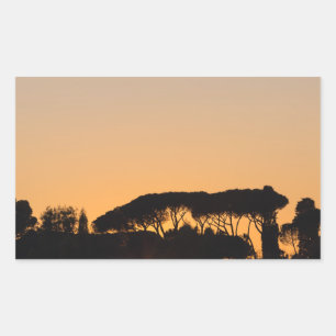 Sticker Rectangulaire Arbres au coucher du soleil dans le rétroéclairage