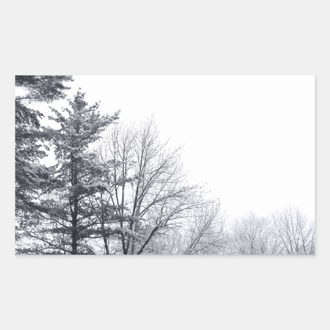 Sticker Rectangulaire Arbres couverts de neige : Horizontaux (Devant)