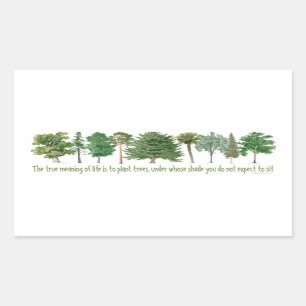Sticker Rectangulaire Arbres plantes