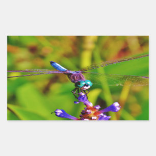 Sticker Rectangulaire Arc en ciel libellule et fleur