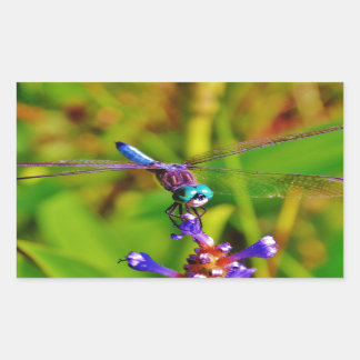 Sticker Rectangulaire Arc en ciel libellule et fleur