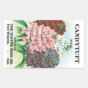 Sticker Rectangulaire Art de pochette de graines vintage, fleurs de jard