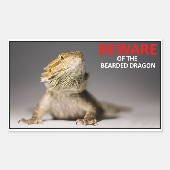 Sticker Rectangulaire ATTENTION au dragon barbu (Devant)