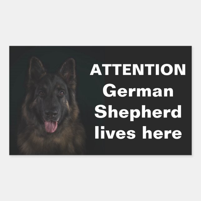 Sticker Rectangulaire Attention berger allemand vit ici (Devant)
