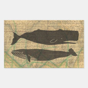 Sticker Rectangulaire Baleine antique Vie marine