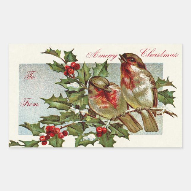 Sticker Rectangulaire Balise cadeau Oiseaux vintages (Devant)