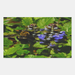 Sticker Rectangulaire Baume d'abeille pourpre et bourdon