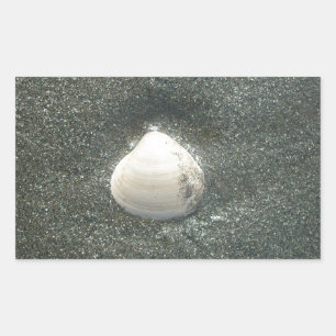 Sticker Rectangulaire Beau coquillage dans le sable : Un souvenir salé