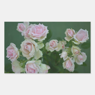 Sticker Rectangulaire Beau jardin rose clair roses