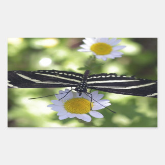 Sticker Rectangulaire Beau Papillon rayé noir et blanc
