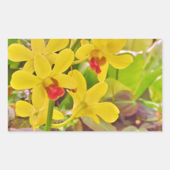 Sticker Rectangulaire Beautiful Yellow autumn (Devant)