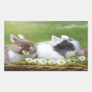 Sticker Rectangulaire Bébé lapin mignon lapins avec fleurs