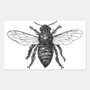 Sticker Rectangulaire Bee Worker Honey Black Bumblebee