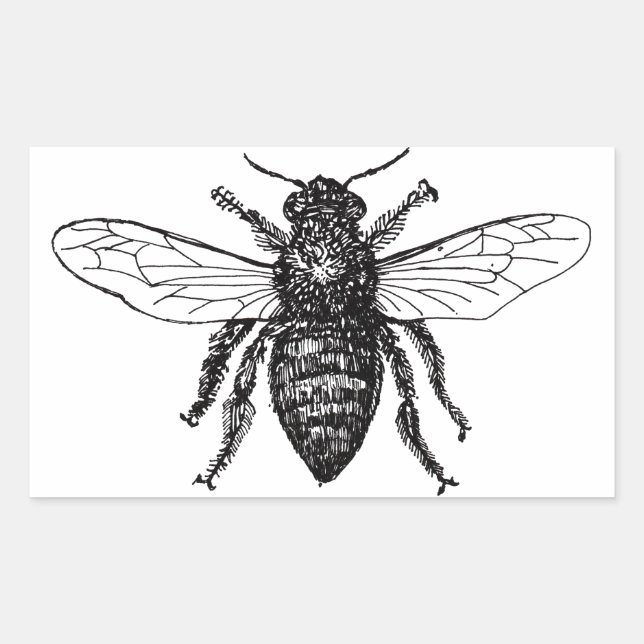 Sticker Rectangulaire Bee Worker Honey Black Bumblebee (Devant)