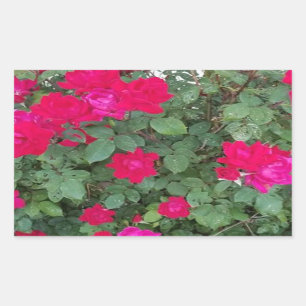 Sticker Rectangulaire Belles Fleurs