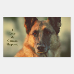 Sticker Rectangulaire Berger allemand