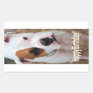 Sticker Rectangulaire Birthday Boop