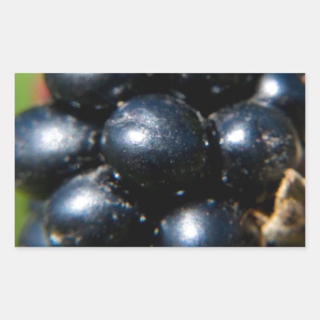 Sticker Rectangulaire Blackberry (Devant)