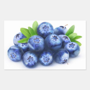 Sticker Rectangulaire Blueberges