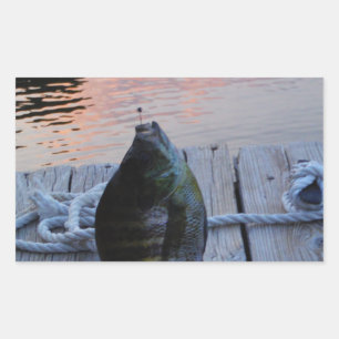 Sticker Rectangulaire Bluegill au coucher du soleil Lac Arrowhead