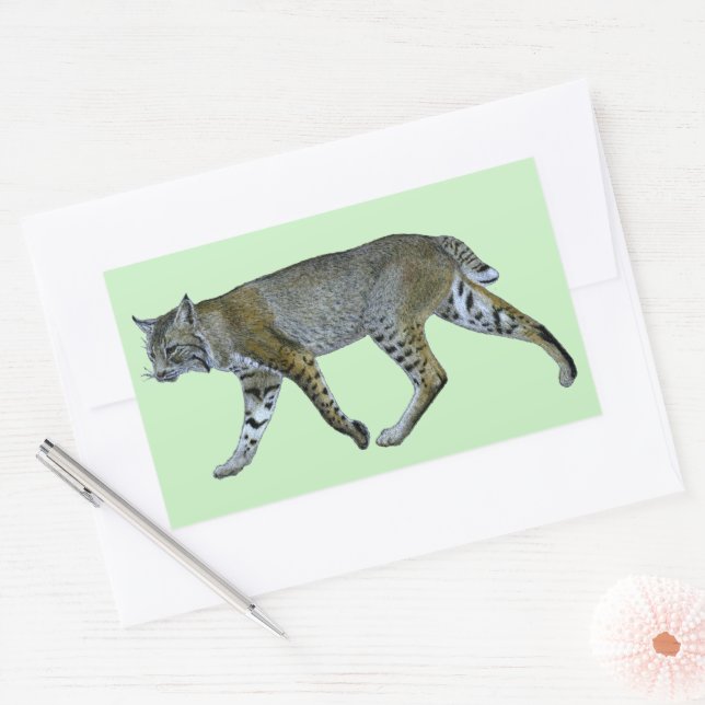 Sticker Rectangulaire Bobcat (Enveloppe)
