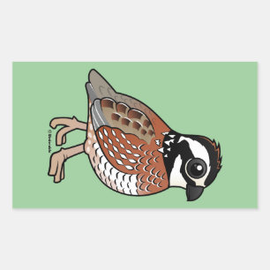 Sticker Rectangulaire Bobwhite