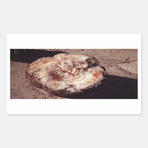 Sticker Rectangulaire Bois petrifié avec ombres Arizona Photo