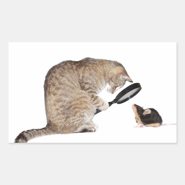 Sticker Rectangulaire Bonjour ! ! (Devant)