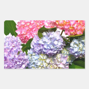 Sticker Rectangulaire Bouquet d'hortensia bleu rose violet élégant
