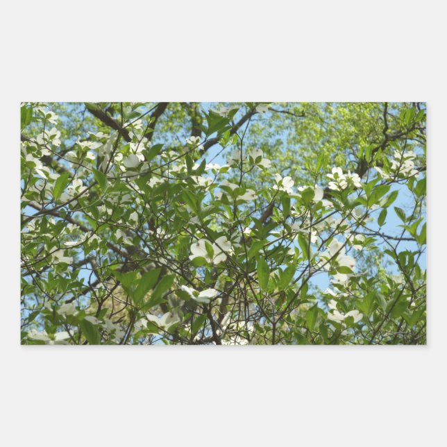 Sticker Rectangulaire Branche of Dogwood Blossoms Spring Trees (Devant)