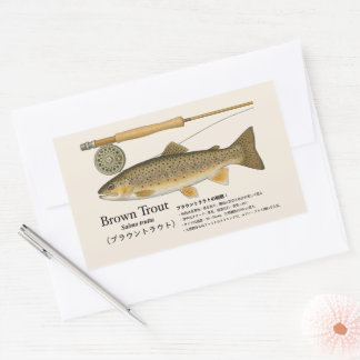 Sticker Rectangulaire Brown Trout (Salmo trutta) – Japanese Illust