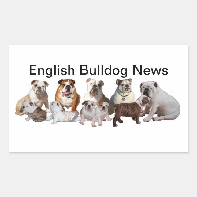Sticker Rectangulaire Bulldog News anglais (Devant)