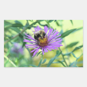 Sticker Rectangulaire Bumblebee sur Purple Daisy