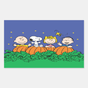 Sticker Rectangulaire cacahuètes   C'est le grand Citrouille Charlie Bro