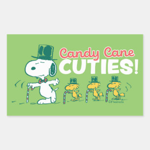 Sticker Rectangulaire cacahuètes Sucres de canne