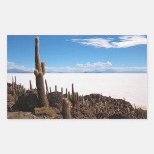 Sticker Rectangulaire Cactus à l'autocollant rectangulaire Salar de Uyun