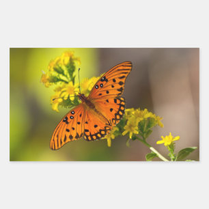 Sticker Rectangulaire Cadeaux et Vêtements Papillon du Golfe Fritillaire