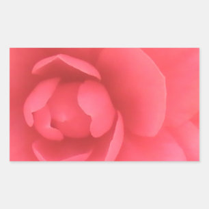Sticker Rectangulaire Camellia rose