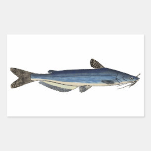 Sticker Rectangulaire Catfish bleu