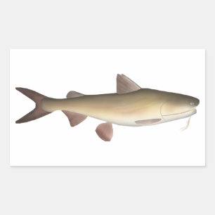 Sticker Rectangulaire Catfish guerrier
