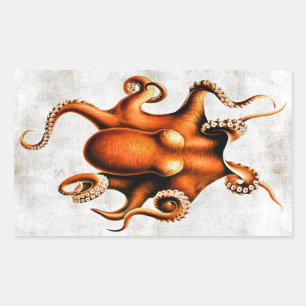 Sticker Rectangulaire Céphalopodes de l'autocollant d'îles hawaïennes