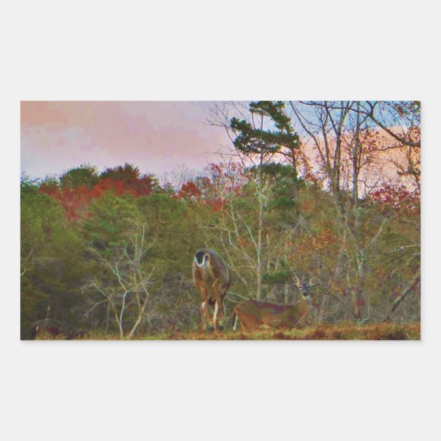 Sticker Rectangulaire Cerf avec ciel bleu rose (Devant)